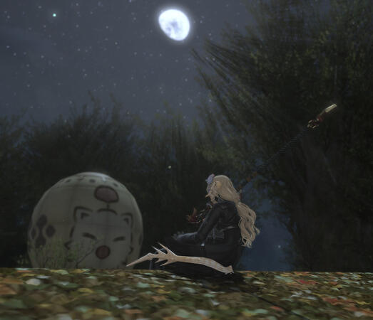 Mog in Moonlight